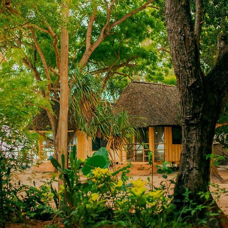 A Pousada Mikadi Beach Camp & Backpackers Dar es Salaam Exterior foto