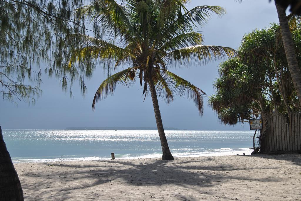 A Pousada Mikadi Beach Camp & Backpackers Dar es Salaam Exterior foto
